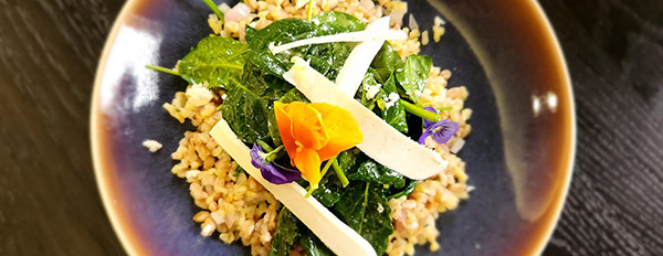 Chef's Dinner Courses XXIX